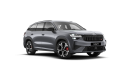 Škoda Kodiaq RS 2,0 TSI 195 kW 7-stup. automat. 4x4 na operativní leasing