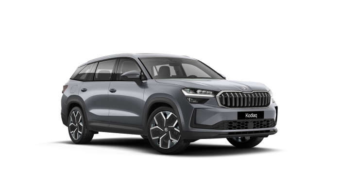 Škoda Kodiaq Selection 2.0 TDI 110 kW 7-stup. automat. na operativní leasing