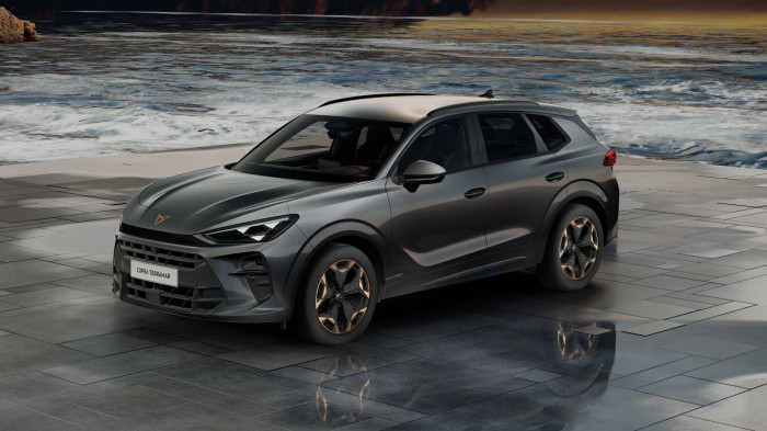Cupra Terramar 2.0 TSI 204k DSG 4WD na operativní leasing