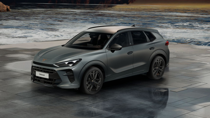 Cupra Terramar America's CUP 2.0 TSI 265k 4WD na operativní leasing