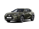 Lexus UX 300h Business Tech 2.0 300h 146 kW Benzín Automatická převodovka na operativní leasing