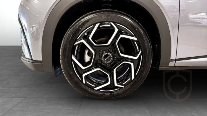 BYD Doplhin Design na operativní leasing