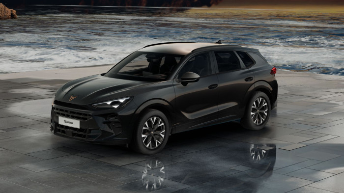 Cupra Terramar 2.0 TSI 204k DSG 4WD na operativní leasing