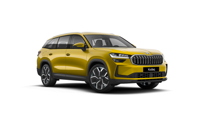 Škoda Kodiaq Selection 2,0 TDI 110 kW 7-stup. automat. na operativní leasing