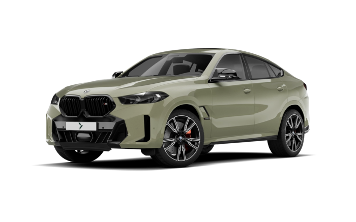 BMW X6 3,0 xD - Diesel - Automat 8st. - 4x4 na operativní leasing