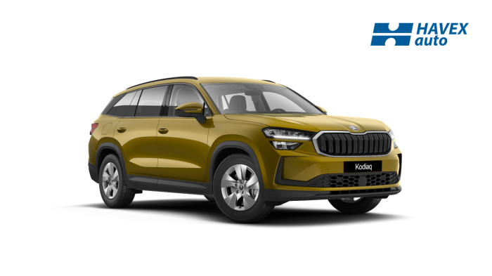 Škoda Kodiaq 2.0 TDI 110 kW 7-stup. automat. Selection na operativní leasing