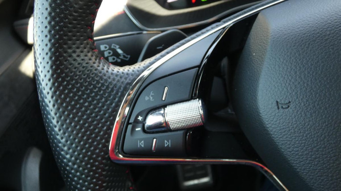 Škoda Octavia RS 2.0 TDI DSG na operativní leasing